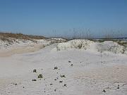 St. Augustine - Jan 2012 078